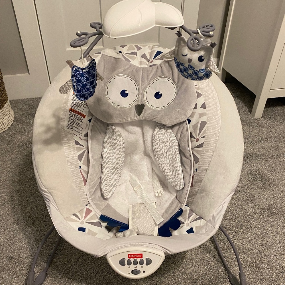 Fisher Price Baby Bouncer LIKE NEW